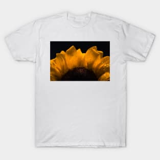 Sunflower Petals T-Shirt